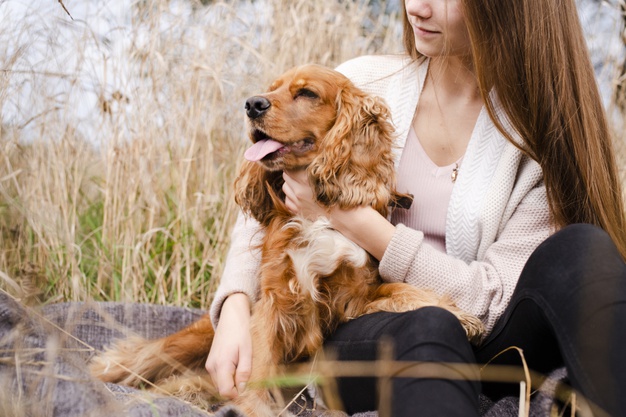 terapia com cachorros