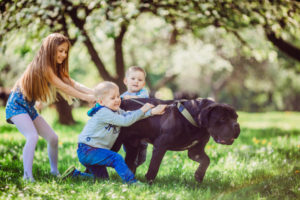 Crianças com cachorro - Foto: Freepik
