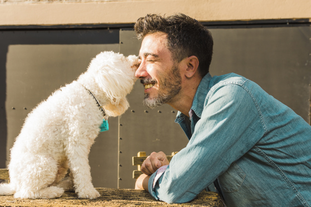 Como adotar cachorro? 6 dicas importantes para você adotar um cão 2 adoção de cachorro