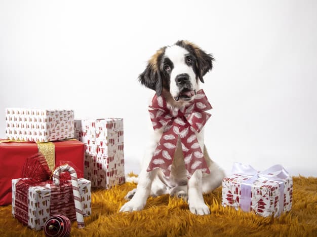 Adorno para cães