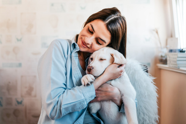 Cachorro pode ficar sozinho em casa o dia inteiro