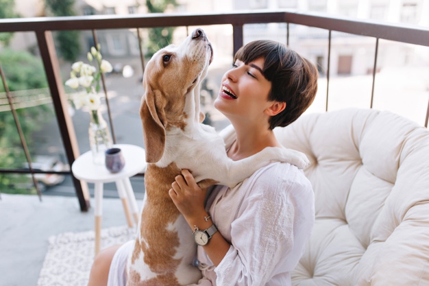 Cachorro pode ficar sozinho em casa o dia inteiro