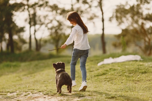 conexão entre cão e tutor