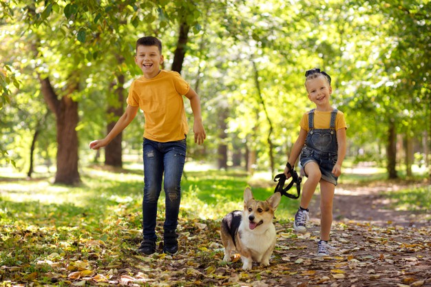 mudança com cachorro