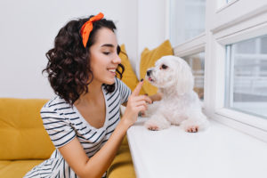 Portrait amazing joyful fashionable young woman playing with little dog in modern apartment. Having fun with home pets, smiling, cheerful mood, at home