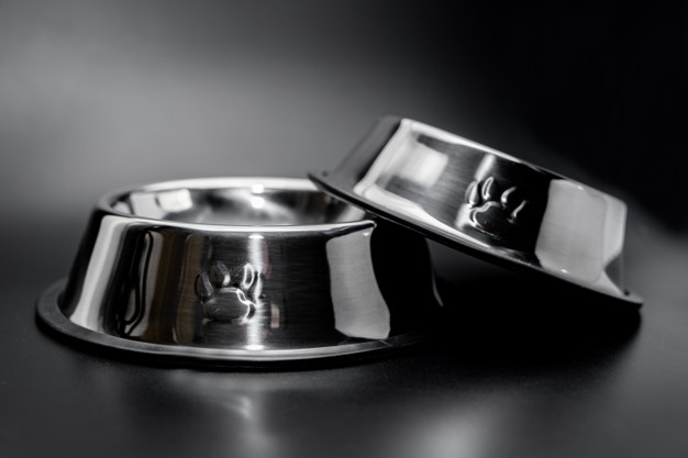 tipos de dietas para cachorros