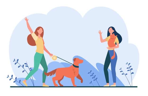 Presa Canário: descrição da raça, saúde e alimentação 2 cachorro no parque