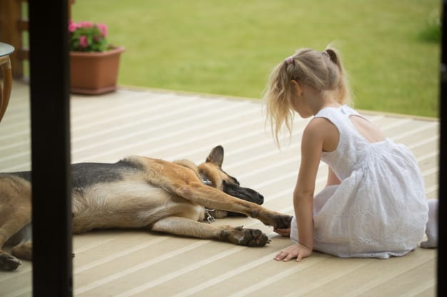 hérnias umbilicais em cães