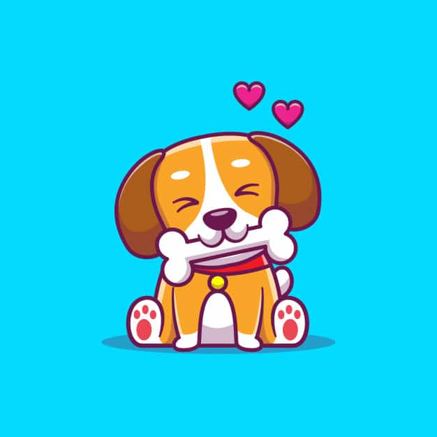 Presa Canário: descrição da raça, saúde e alimentação 5 cachorro com osso