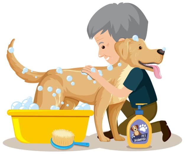 Presa Canário: descrição da raça, saúde e alimentação 4 cachorro tomando banho