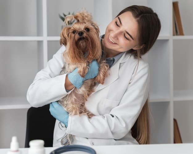 homeopatia para cachorro
