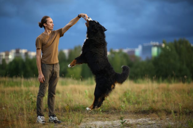 Jovem com cão 