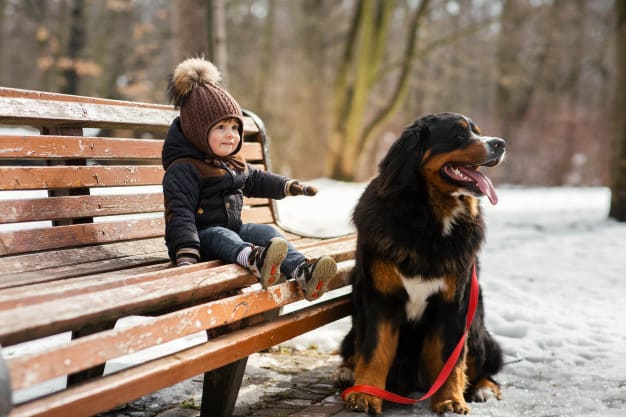 Menino sentado com cachorro