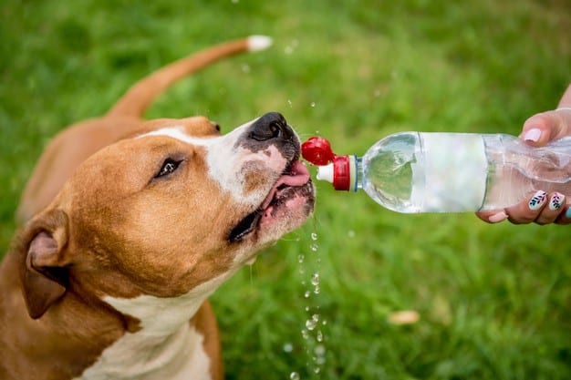 Cachorro bebendo água