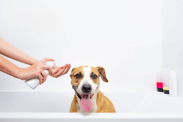 Cachorro feliz no banho