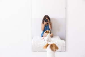 Tirando foto do cachorro - Foto: Freepik