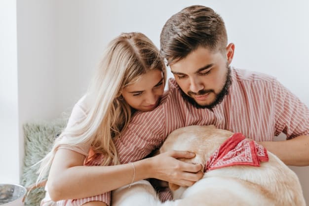 Cuidados com Cães: 10 dicas de saúde para cachorro 4 casal com seu cachorro