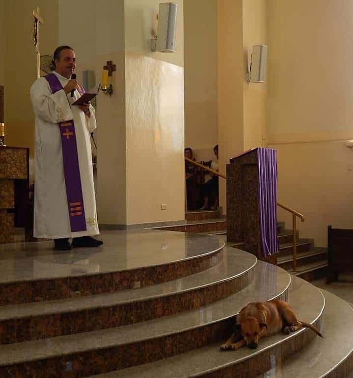 padre João