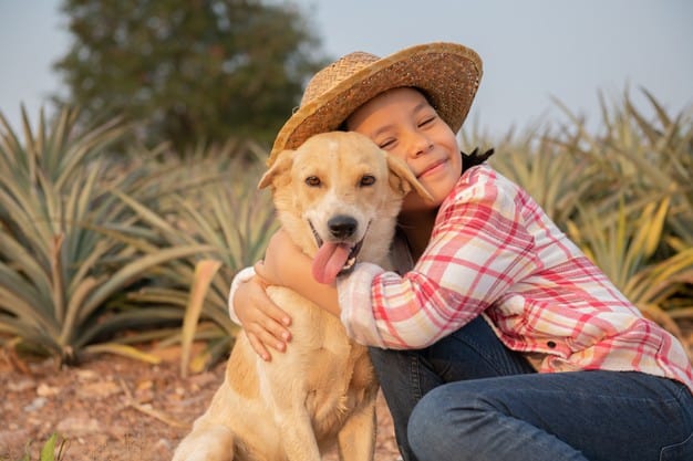 hábitos saudáveis para cães