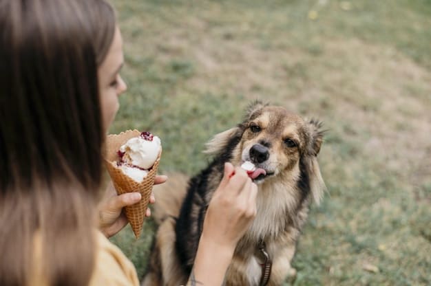 Guloseimas para cachorro: Faça você mesmo! 5 sorvete
