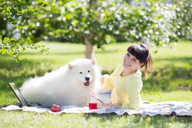 Cachorro pode tomar suco