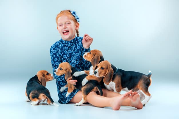 sonhar com cachorros