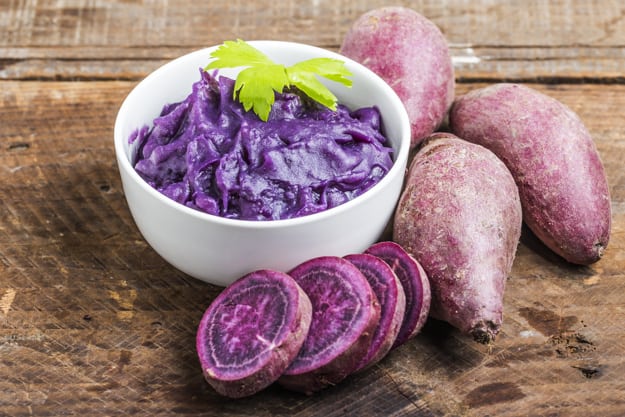 alimentos para cachorro doente