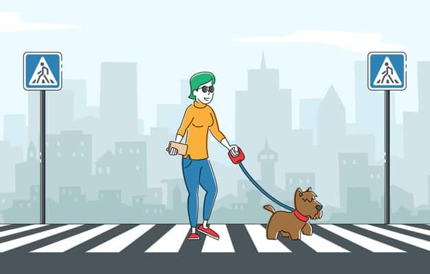 Qualquer cachorro pode se tornar um cão-guia