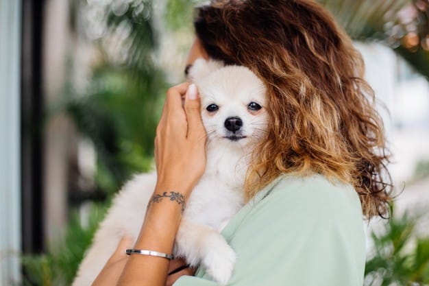 Raças de cães que são totalmente diferentes quando filhotes 2 raças de cães que são totalmente diferentes