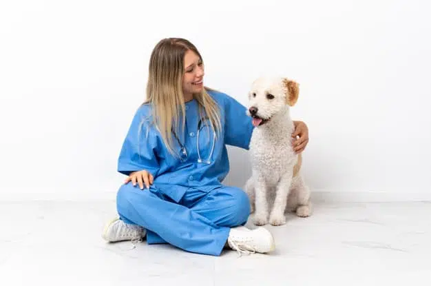 veterinário a domicílio