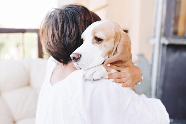 como passear com um cachorro que tem medo