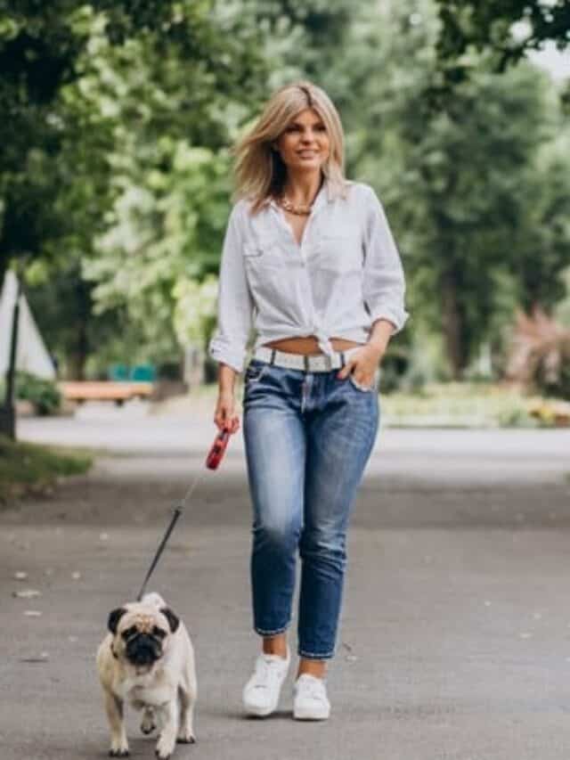 Cães e humanos: as 6 regras do líder da matilha 7 Cães e humanos