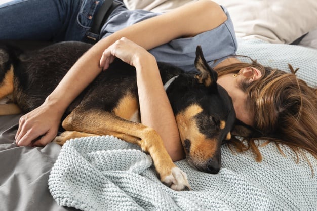 medium shot woman hugging dog bed 23 2148935400
