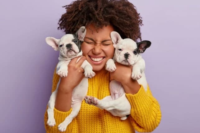 ONG de adoção de animais