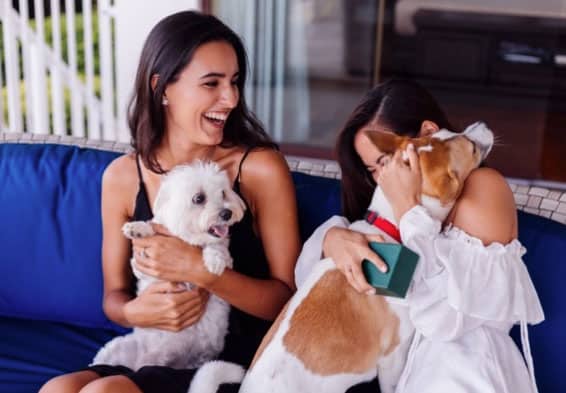ONG de adoção de animais