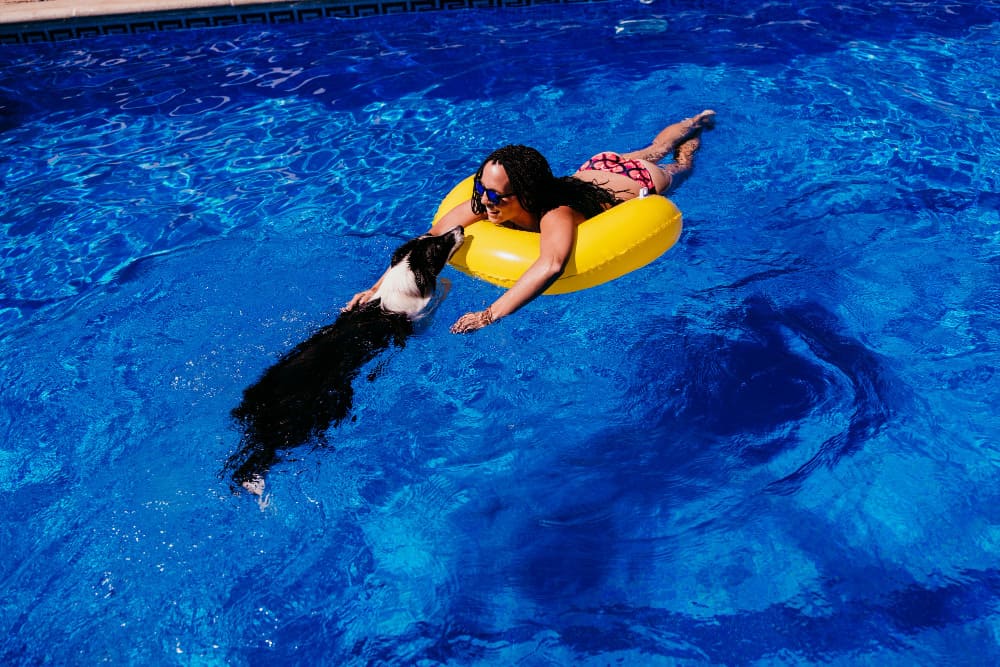 cachorro na piscina