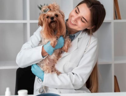 a veterinária com o dog