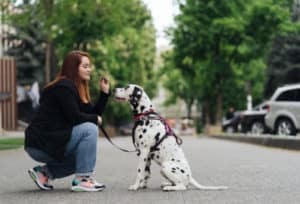 Tutora com seu cão - Foto: Freepik