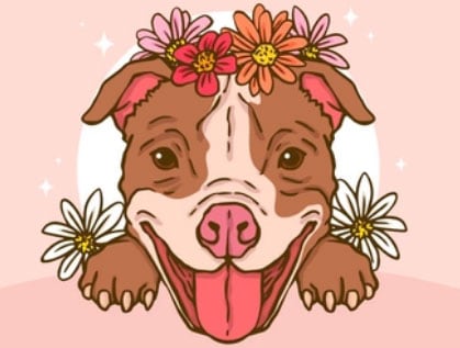 mitos sobre o pitbull