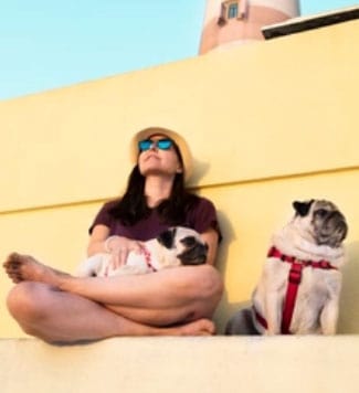 passeio com o dog