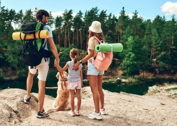 viajar com cachorro