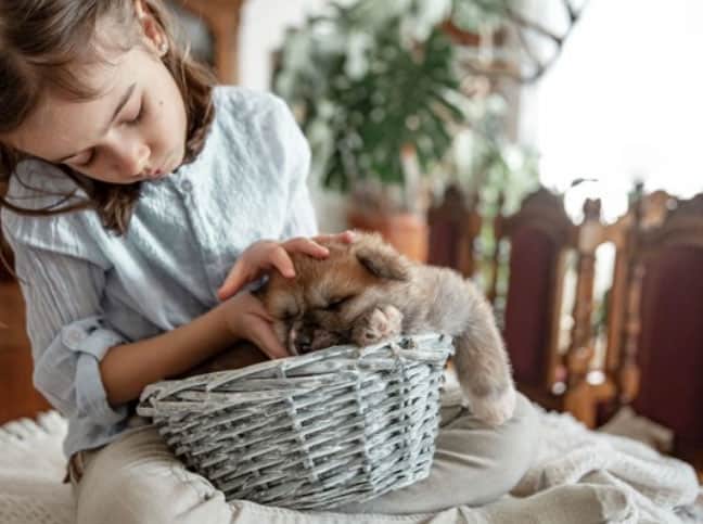 Como viver com um cachorro cego 4 tutora e seu cãozinho