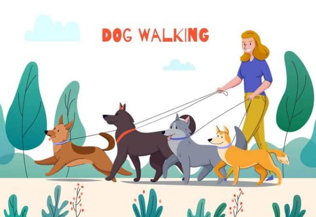 Sinais de que seu cachorro precisa passear mais 4 dog walking
