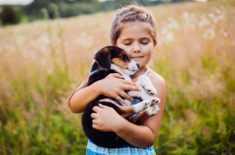 Frases para perda do animal de estimação 1 minha filha tem medo de cachorro