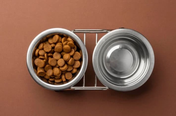 tigela de comida