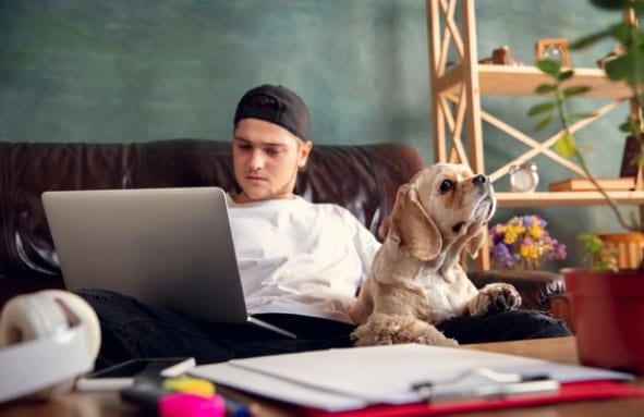 Cachorro no home office 