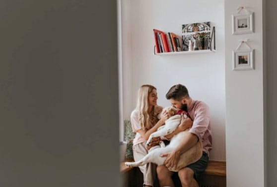 Cachorro grande em apartamento - É possível? 3 tutores com seu cão grande