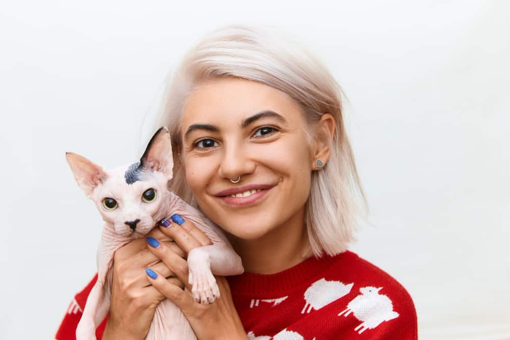 Olhos do gato estão dilatados: Por que ? Saiba mais. 3 olhos do gato estão dilatados
