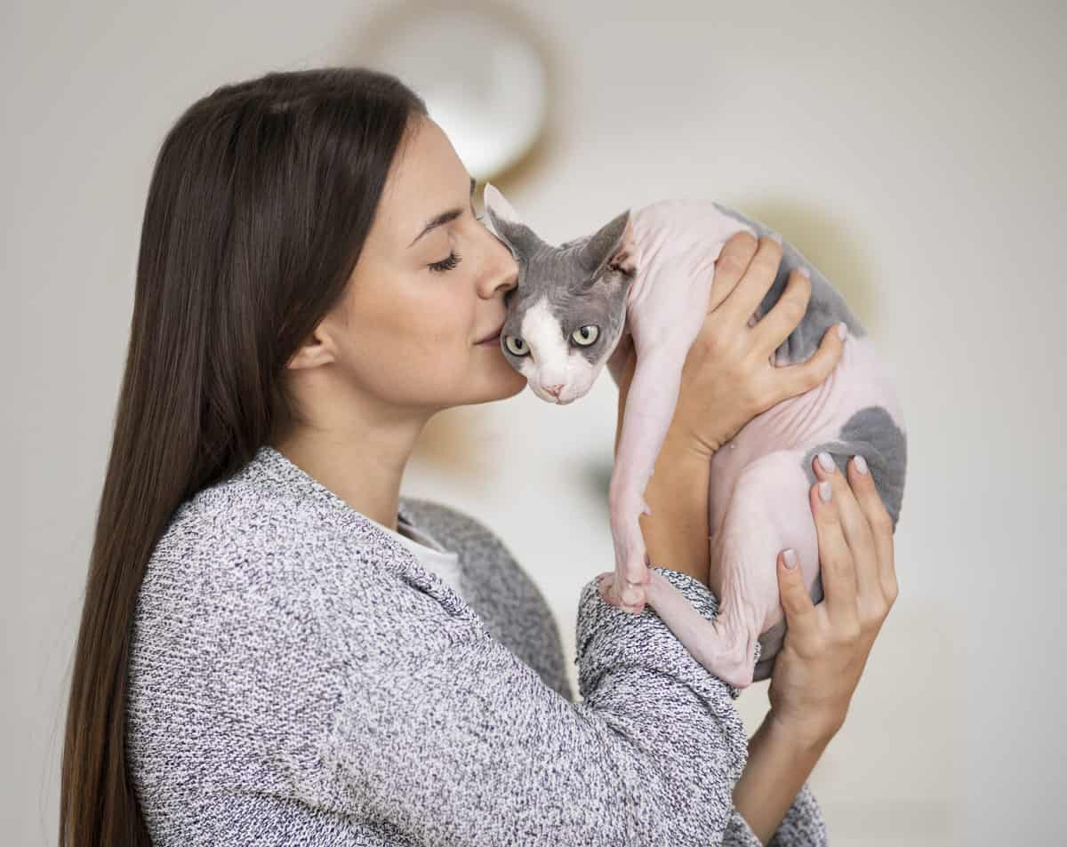 pet cat lifestyle portraits scaled