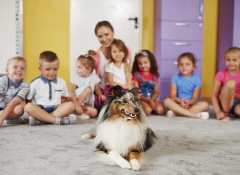 cachorro com as crianças